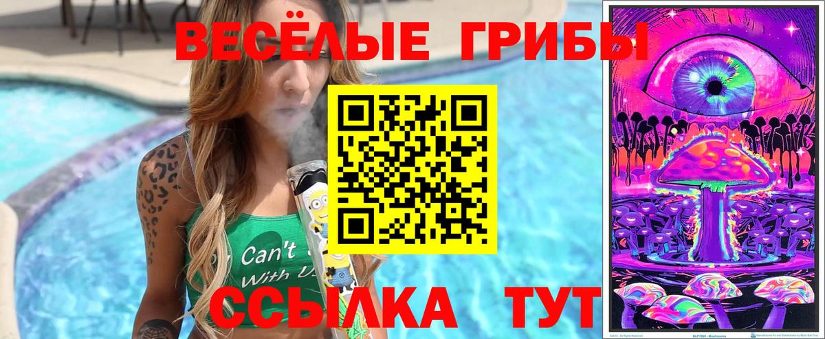 Псилоцибиновые грибы Cubensis Протвино