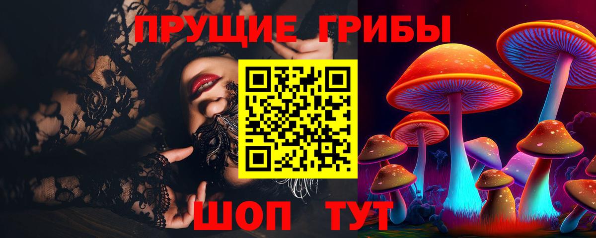 Псилоцибиновые грибы GOLDEN TEACHER  Вход с VPN  Протвино 